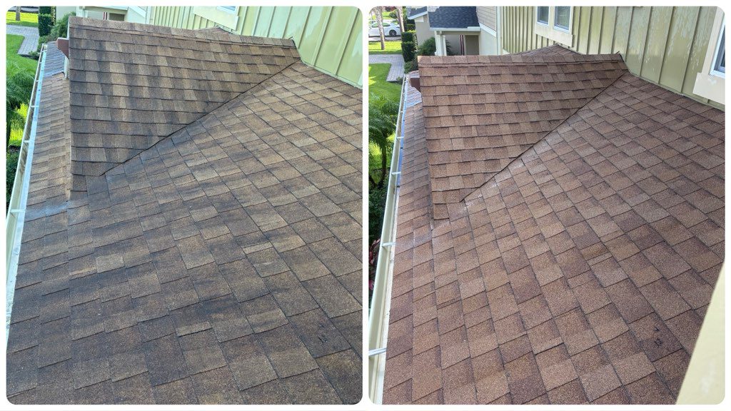 roof cleaning and soft wash